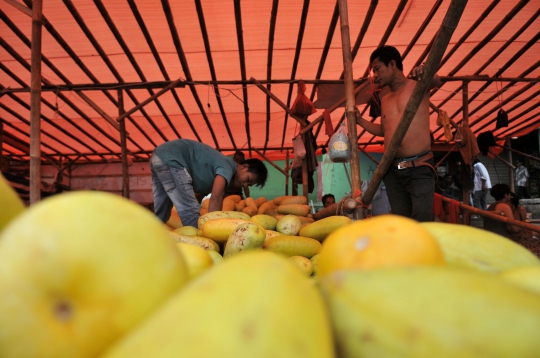 Pasokan Langka, Harga Timun Suri Melonjak di Jakarta