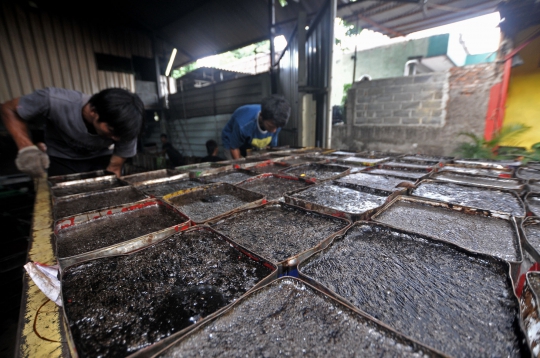 Ramadan, Permintaan Cincau Hitam Melonjak 3 Kali Lipat