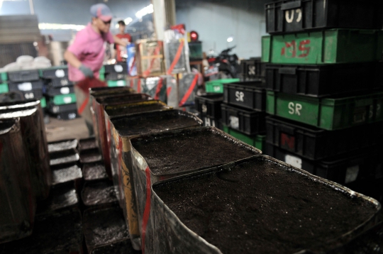 Ramadan, Permintaan Cincau Hitam Melonjak 3 Kali Lipat