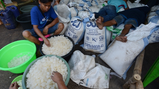 Berburu Kolang-kaling Selama Ramadan