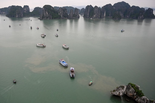 Panorama Teluk Ha Long di Vietnam yang Menakjubkan