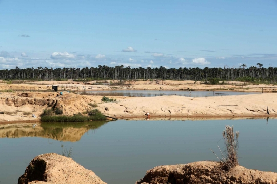 Penampakan Kerusakan Alam Akibat Tambang Emas Ilegal di Peru