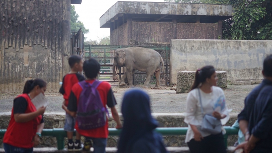 Taman Margasatwa Ragunan Dipadati Puluhan Ribu Pengunjung