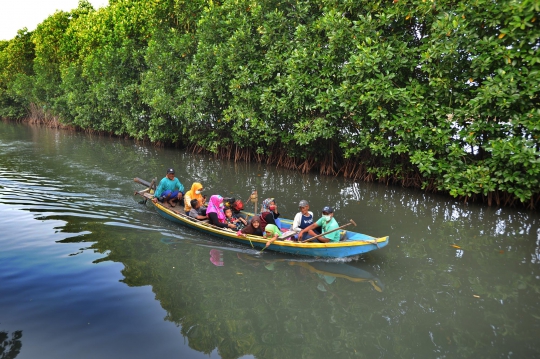 Mengunjungi Wisata Mangrove Murah Meriah di Bekasi