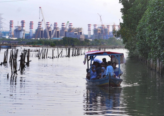 Mengunjungi Wisata Mangrove Murah Meriah di Bekasi