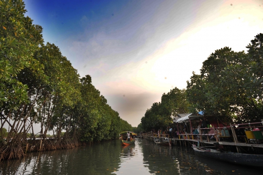 Mengunjungi Wisata Mangrove Murah Meriah di Bekasi
