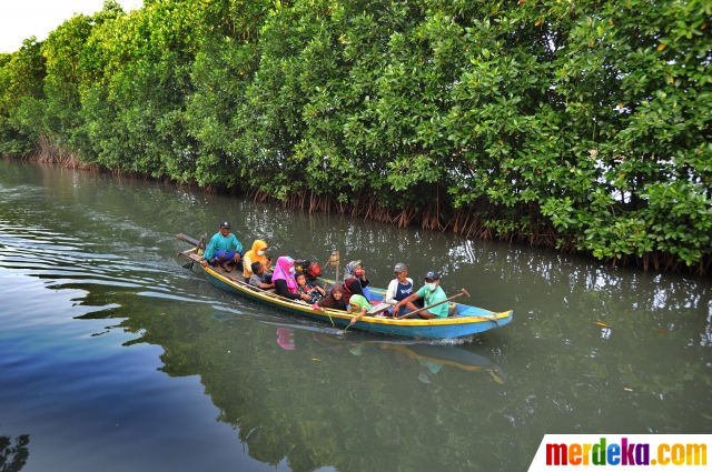 Foto Mengunjungi Wisata Mangrove Murah Meriah Di Bekasi