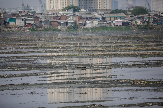 Surut, Waduk Pluit Kotor dan Bau