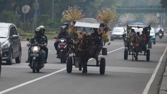 Sempat Dilarang, Delman Hias Kembali Keliling Monas