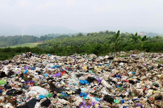 Pasukan Larva Pengurai Sampah di Banyumas