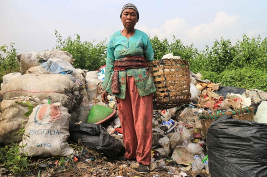 Pasukan Larva Pengurai Sampah di Banyumas