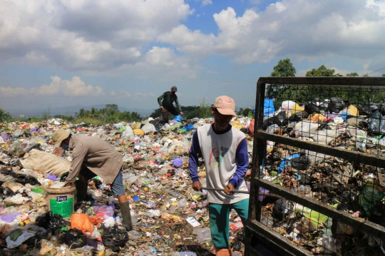 Pasukan Larva Pengurai Sampah di Banyumas