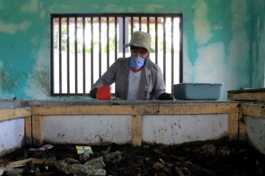 Pasukan Larva Pengurai Sampah di Banyumas