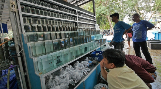 Pedagang Ikan dan Hewan Jatinegara Direlokasi ke Lapangan Urip Sumihardjo