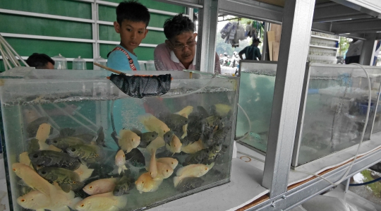 Pedagang Ikan dan Hewan Jatinegara Direlokasi ke Lapangan Urip Sumihardjo