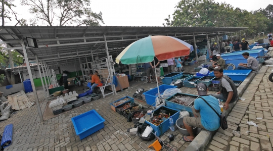 Pedagang Ikan dan Hewan Jatinegara Direlokasi ke Lapangan Urip Sumihardjo