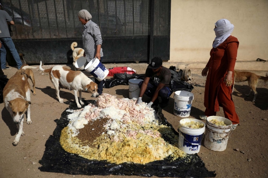 Kisah Penyelamat Anjing Jalanan di Yordania