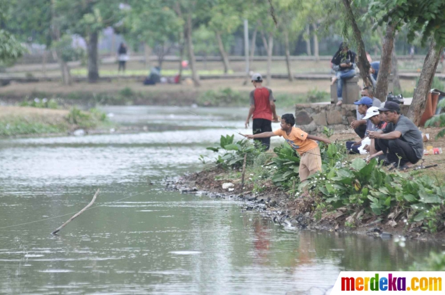 Foto Piknik Gratis Di Taman Cempaka Merdekacom