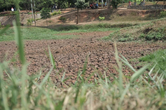 Danau di Jakarta Timur Kering Kerontang Akibat Kemarau