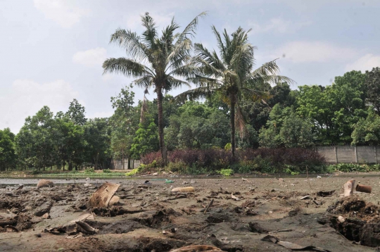 Danau di Jakarta Timur Kering Kerontang Akibat Kemarau
