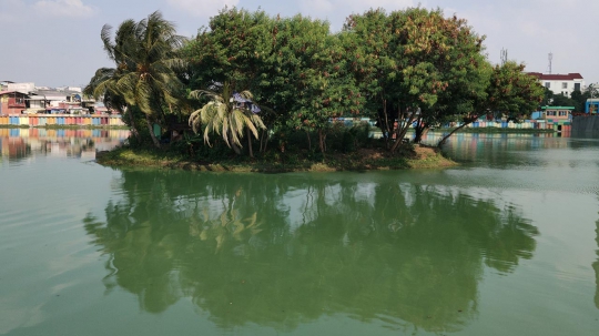 Kemarau, Danau Sunter Menghijau