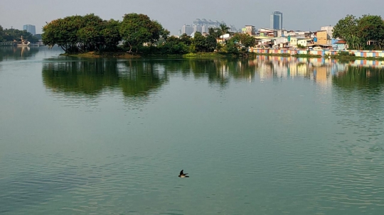 Kemarau, Danau Sunter Menghijau