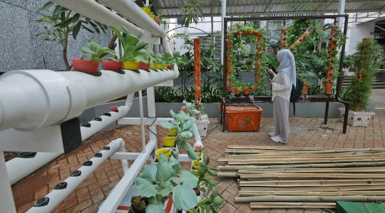 Mengunjungi Urban Farming di Balai Kota DKI Jakarta