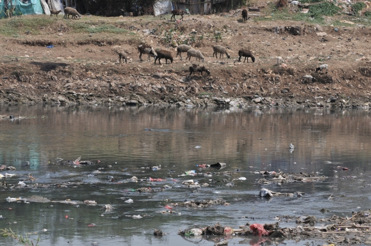 Penampakan Sampah di Dasar Kanal Banjir Barat Muncul Ke Permukaan