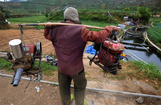 Musim Kemarau, Petani Dieng Andalkan Pompa Air