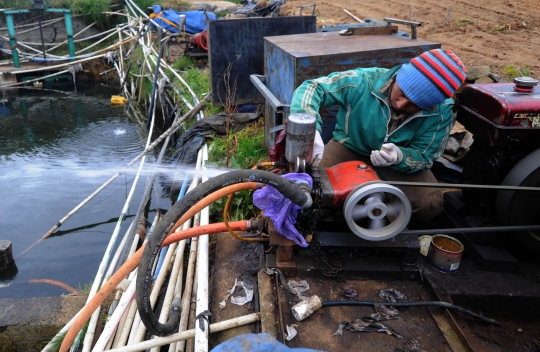 Musim Kemarau, Petani Dieng Andalkan Pompa Air