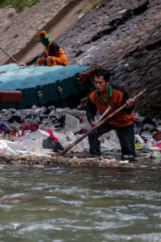 Perjuangan Petugas PPSU Bersihkan Sampah di Derasnya Aliran Kali Ciliwung