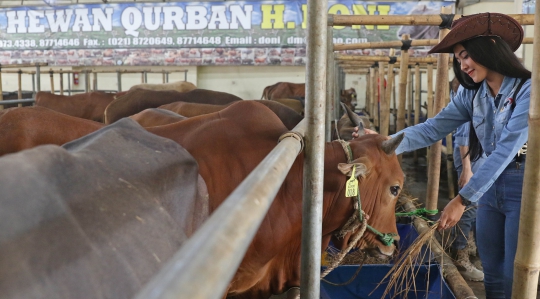 Gaya SPG Cantik Penjual Hewan Kurban di Depok