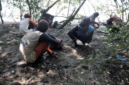 Nelayan Muara Gembong Kumpulkan Tumpahan Minyak Pertamina