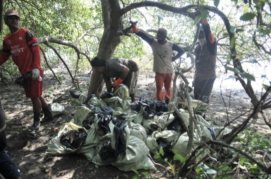 Nelayan Muara Gembong Kumpulkan Tumpahan Minyak Pertamina