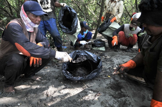 Nelayan Muara Gembong Kumpulkan Tumpahan Minyak Pertamina