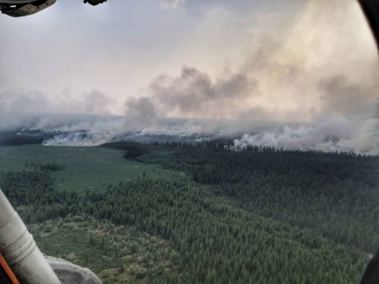 Kobaran Api Lahap Hutan Rusia