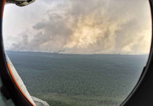 Kobaran Api Lahap Hutan Rusia