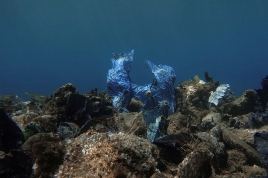Miris, Beginilah Penampakan 'Terumbu Karang Plastik' di Yunani