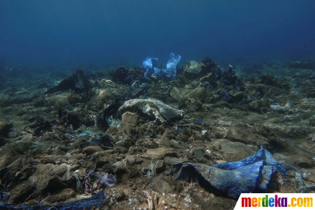 9900 Foto Penampakan Di Dasar Laut HD