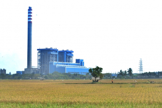 Musim Kemarau Menguntungkan Petani Karena Harga Gabah Naik