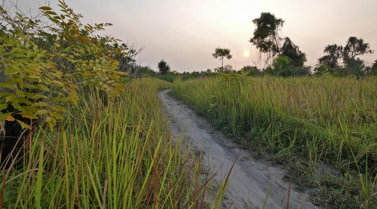 Menikmati Indahnya Matahari Terbenam di Pulau Pari