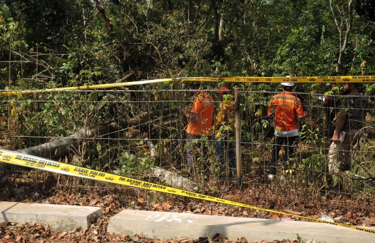 Ini Lokasi SUTET Gunungpati yang Diduga Penyebab Mati Listrik di Jakarta