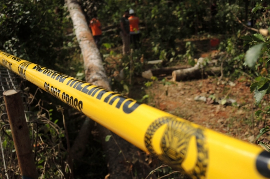 Ini Lokasi SUTET Gunungpati yang Diduga Penyebab Mati Listrik di Jakarta