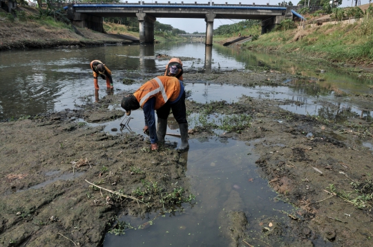 Dilanda Kemarau, Debit Kanal Banjir Timur Surut