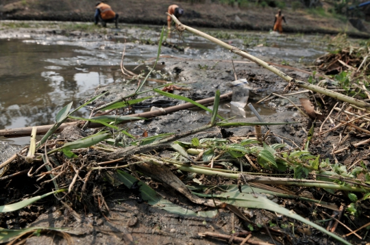 Dilanda Kemarau, Debit Kanal Banjir Timur Surut