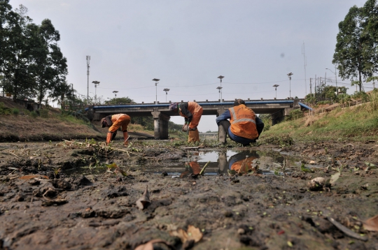Dilanda Kemarau, Debit Kanal Banjir Timur Surut