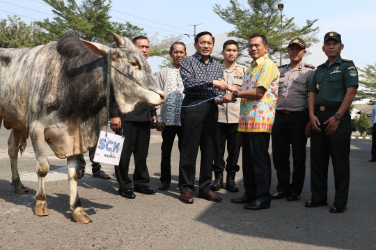 SCM Sumbang 5 Sapi dan 60 Kambing Kurban ke Masyarakat