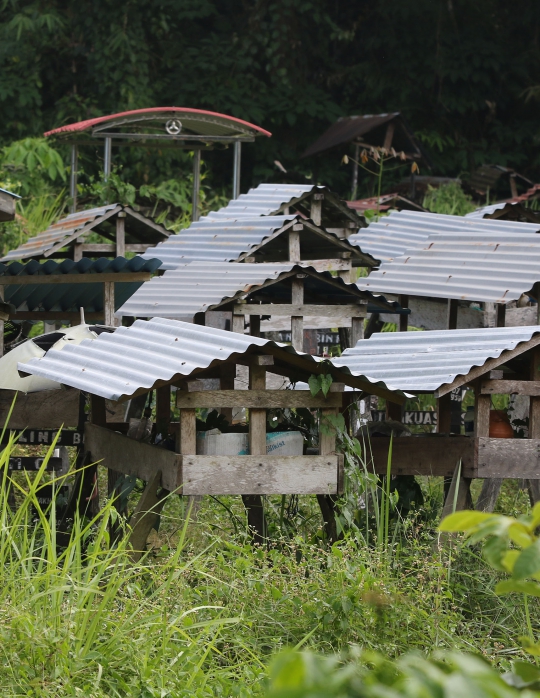 Dango Subur, Tradisi Unik Penguburan di Kalimantan
