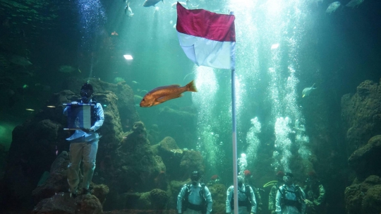 Melihat Persiapan Penyelam Sea World Ancol Kibarkan Bendera di Dalam Air