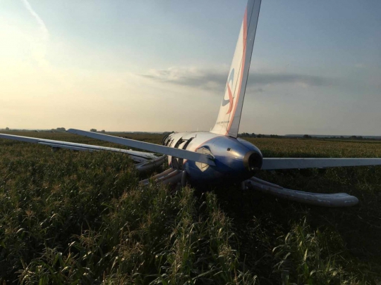 Tabrak Burung, Pesawat Rusia Mendarat Selamat di Ladang Jagung